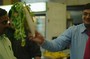 Sreenivas and Kishore shopping